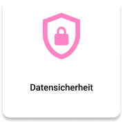 Datensicherheit Icon