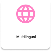 Multilingual Icon